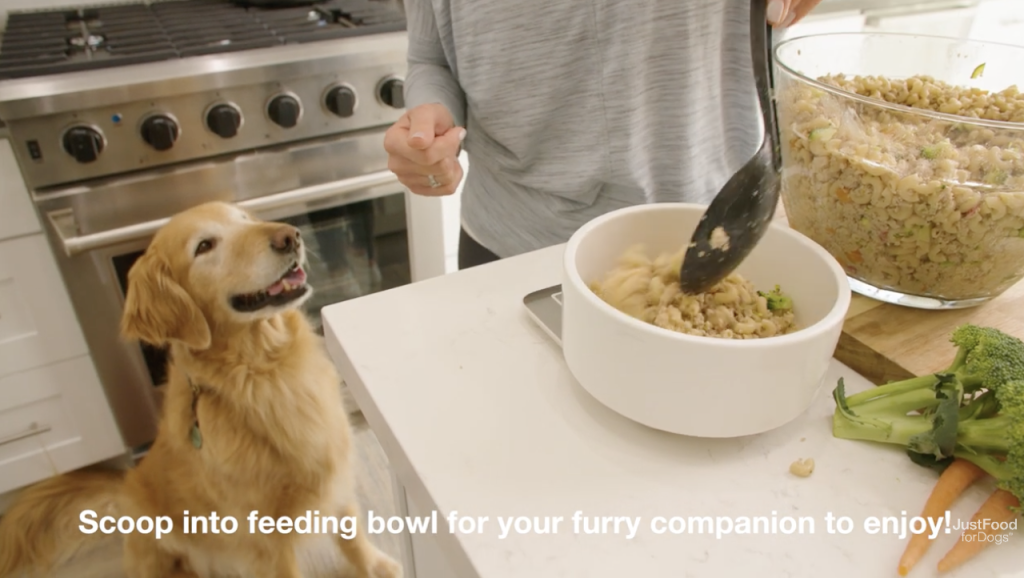 dog looking at food being scooped into bowl